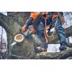 Sprzęt arborystyczny - Lina wspinaczkowa 11,8 mm Husqvarna