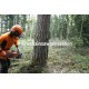 Pilarka spalinowa Husqvarna 550 XP® G Mark II