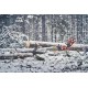 Pilarka spalinowa Husqvarna 560 XP® G Mark II
