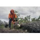 Pilarka spalinowa Husqvarna 540XP Mark III
