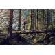 Pilarka spalinowa Husqvarna 572 XP® G