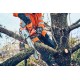 Pilarki łańcuchowe - Akumulatorowa pilarka łańcuchowa Husqvarna T542i XP® do pielęgnacji drzew