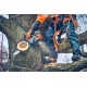 Pilarki łańcuchowe - Akumulatorowa pilarka łańcuchowa Husqvarna T542i XP® do pielęgnacji drzew