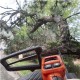 Pilarka Husqvarna T540i XP